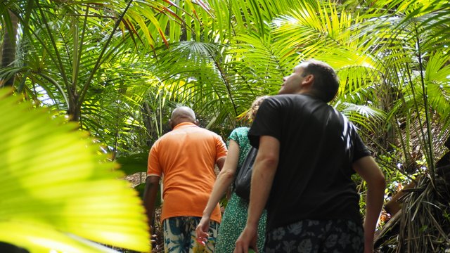 people walking a nature trail in Seychelles